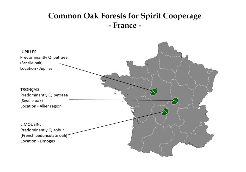 Part 3 - Oak Map France 2