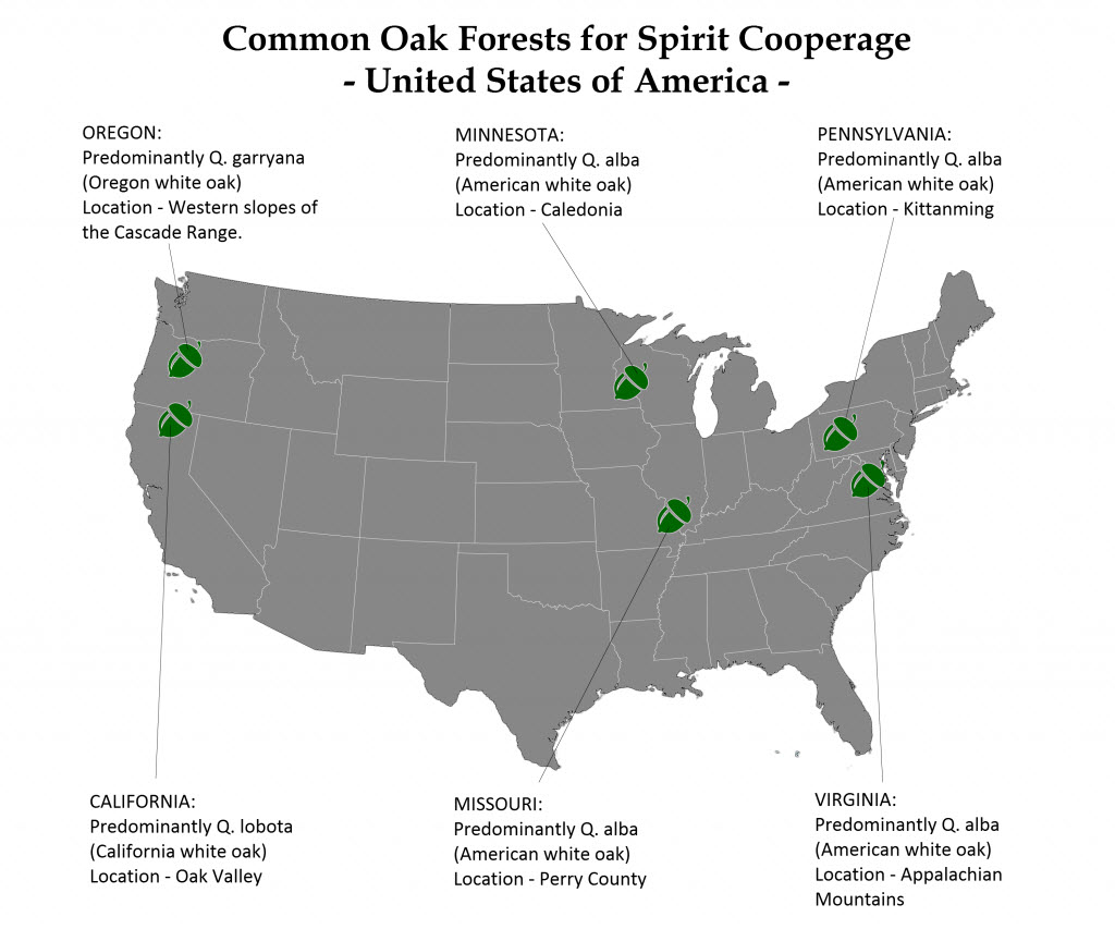 Part 3 - Oak Map USA