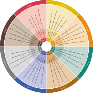 The Pentlands Wheel, used to interpret the primary taste profiles of a specific whisky. Designed for the whisky industry by sensory experts at the Scotch Whisky Research Institute.