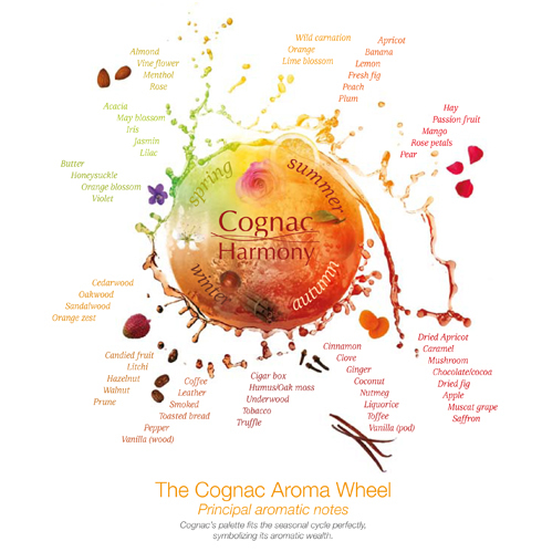 The Cognac Aroma Wheel