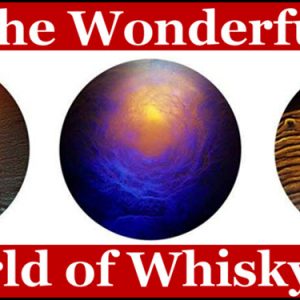 The Wonderful World of Whisky Art Infographics Cover
