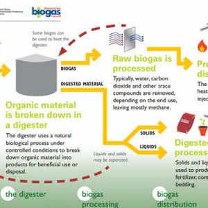 Anaerbic Digestion Flow Chart from the EPA