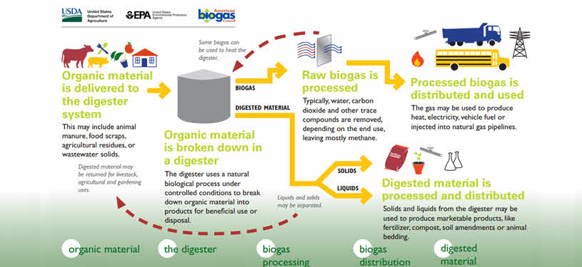 Anaerbic Digestion Flow Chart from the EPA