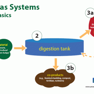 Generic Biogas Digestion Process
