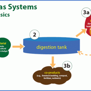 Generic Biogas Digestion Process Cover