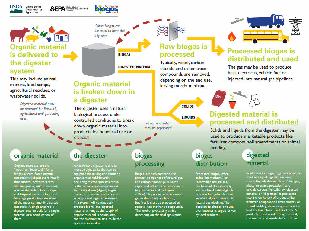 Overview - Anaerbic Digestion Flow Chart from the EPA