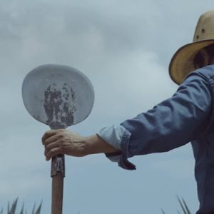Don Julio - Coa Tool for Agave Harvesting