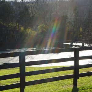 Woodford Reserve Distillery Limestone Water