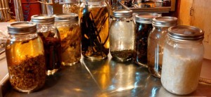 Stillwagon Distillery - Real Spice Extract