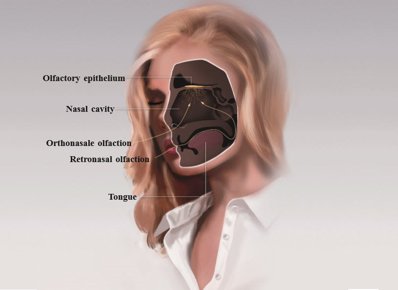 How to Nose Your Whisky