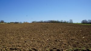 Jeptha Creed Distillery - Bloody Butcher Corn Field