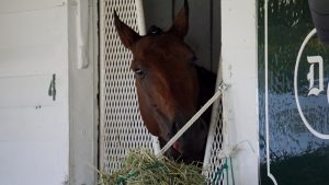 Nyquist in Stall