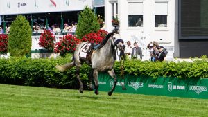 Kentucky Derby 2016 - Turf Race Horse without Jockey