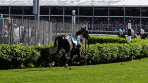 Kentucky Derby 2016 - Turf Race Horse without Jockey