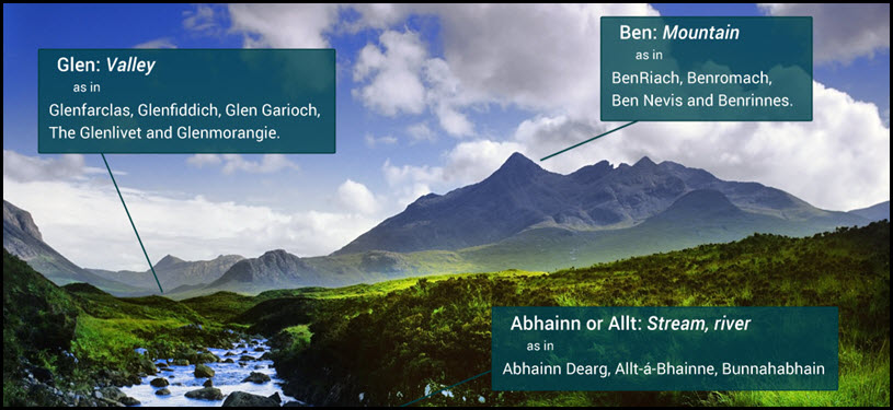 Scottish and Irish Whisky Brand Names Explained Infographic