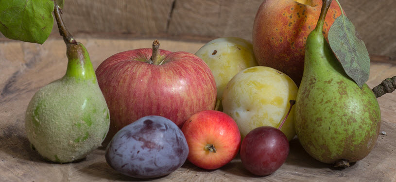 Fruit - Grapes, Apples, Pears, Plums