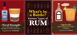 What's in a Bottle of Rum Infographic