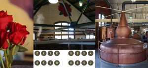 Four Roses Distillery Single Barrel Labels
