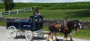 Wadelyn Ranch Distilling Horse and Wagon