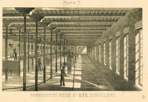 Fermenting Room OFC 1882