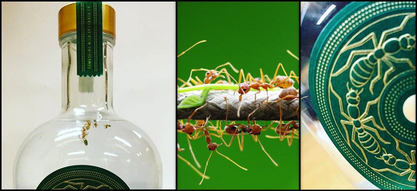 Something Wild Beverage Company - Australian Green Ant Gin Limited Edition