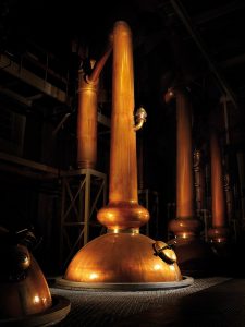 Glenmorangie Distillery - Stills