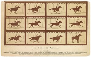 Horse in Motion, Eadweard Muybridge, Circa ~1886.