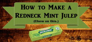 How to Make a Redneck Mint Julep Cocktail Infographic