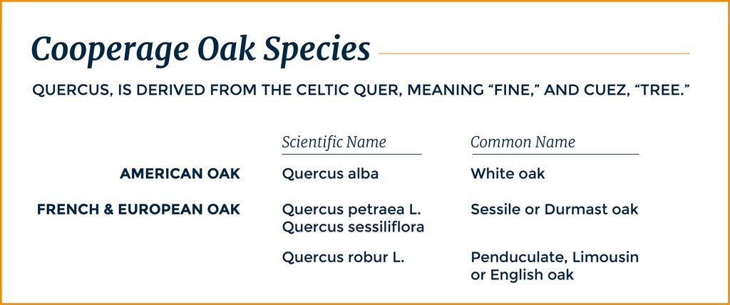 Independent Stave Company - Why Use Oak Species for Distilled Spirits Barrels, Cooperage Oak Species