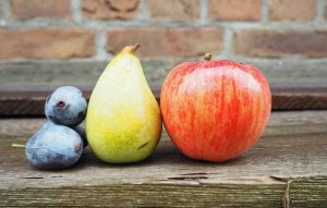Apple, Pear and Plum Harvest