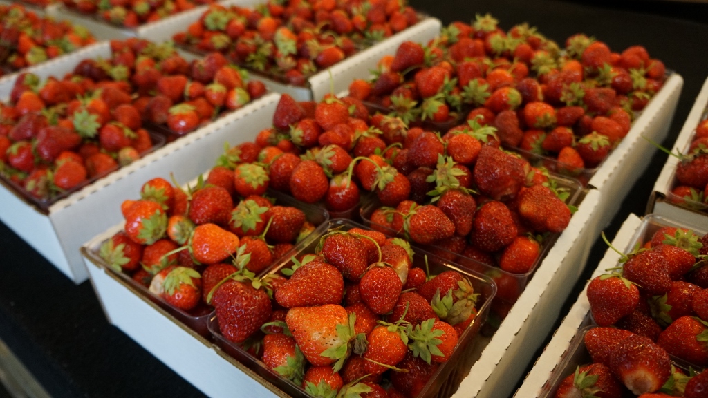 Huber’s Orchard and Winery - Celebrating 175 Year Anniversary - Fresh Picked Strawberries