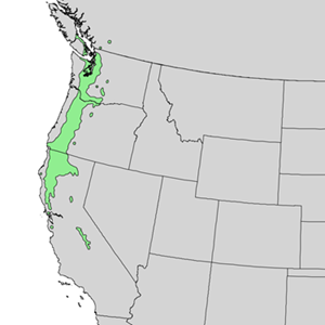 Quercus Garryana - Range Map Covering Washington, Oregon and California