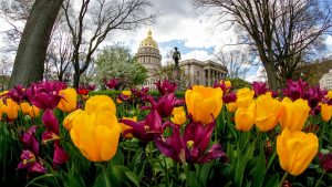 West Virginia State Capitol in the Spring