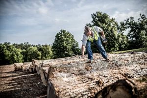Independent Stave Company - The Journey from the Log Yard to Barrel
