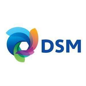 DSM Enzymes