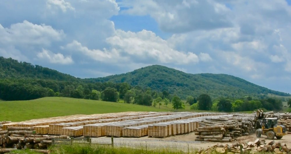 West Virginia Great Barrel Company - Wood being air dried