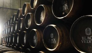 Black Velvet Canadian Whiskey - Aging Barrels