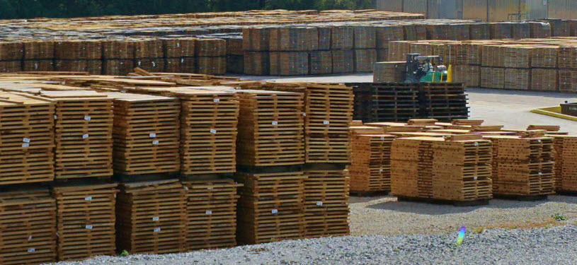 Independent Stave Company - A Field of Staves at Kentucky Cooperage, Lebanon, Kentucky