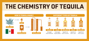 The Chemistry of Tequila INFOGRAPHIC