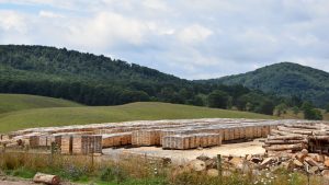 West Virginia Great Barrel Company - Staveyard, Air Drying Staves for Whiskey Barels