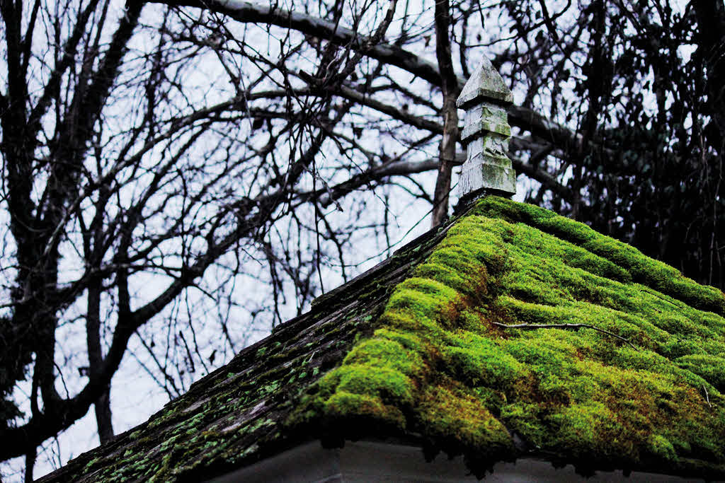 Bardstown the Book - A moss-covered gazebo at the Chapeze House