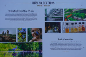Horse Soldier Bourbon Whiskey - Board 12, Horse Soldier Farms Ambition & Innovation