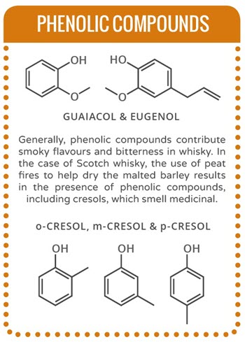 Phenolic Compounds in Oak Barrels - Infographic of Compounds