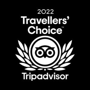 Mint Julep Experiences - Tripadvisor 2022 Travelers' Choice Award
