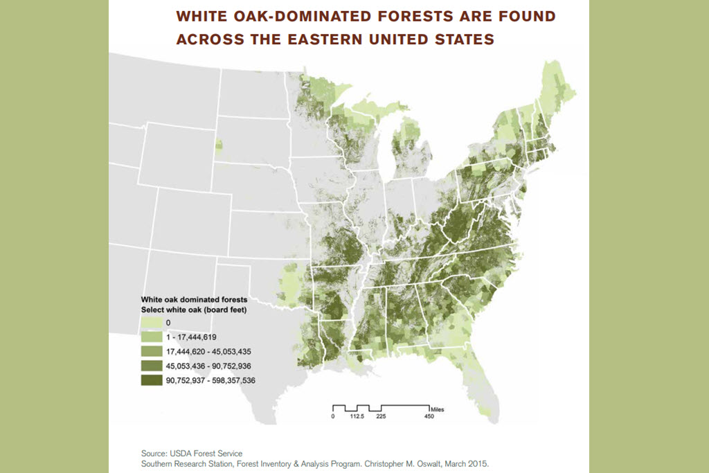 White Oak-Dominated Forests are Found Across the Eastern US - Source-USDA Forest Service