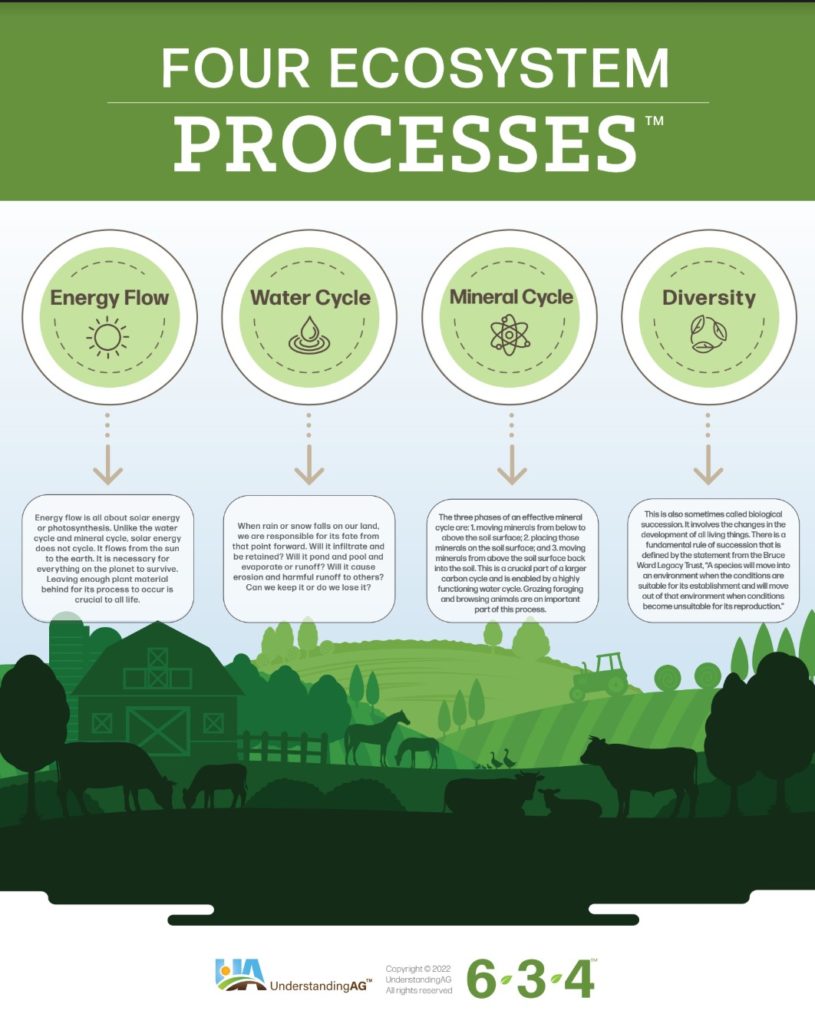 UnderstandingAg - What is Regenified Agriculture, 4 Eco Systems Processes