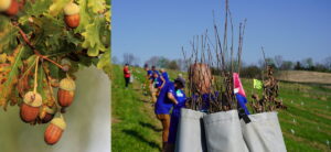 Maker's Mark Distillery - The Planting of 10,000 Oak Trees on Earth Day