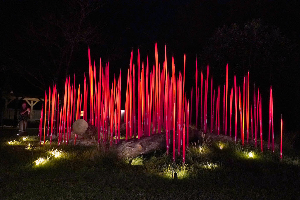 Maker's Mark Distillery - 2025 Chihuly Exhibit, 7 - Red Reeds on (Oak) Logs in the Night