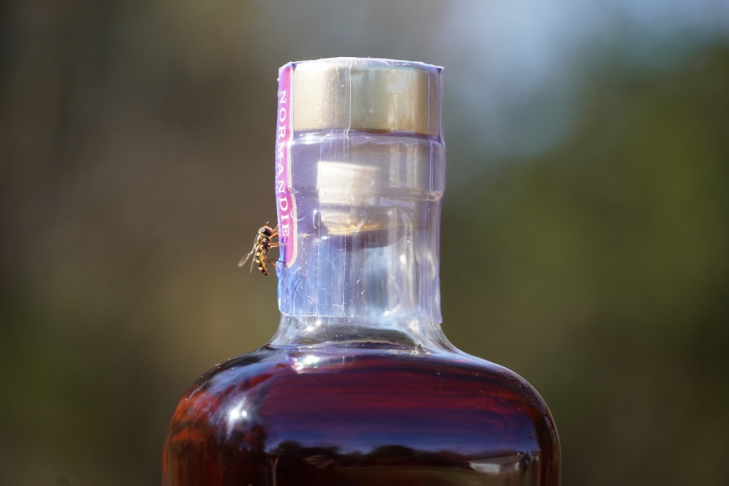 Bardstown Bourbon Company – Distillery Reserve Normandie Calvados Brandy Barrel Finished Bourbon Whiskey Label with Bee