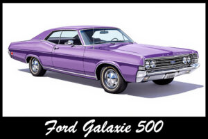 Metro Molded Parts - 1970 Ford Galaxie 500 Classic Car